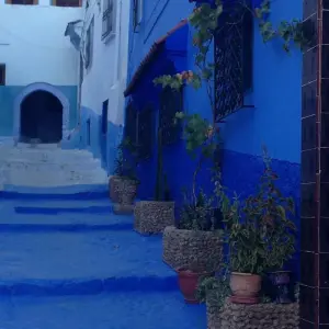 Explore Morocco Souks and Medinas 9 Days for 9 days with Easygo Tours and discover unforgettable experiences - Photo 6