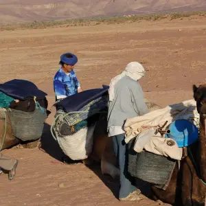 Explore Sahara Trek Morocco 8 Days for 8 days with Easygo Tours and discover unforgettable experiences - Photo 6