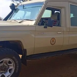 Explore 1-Day Nyerere National Park for 1 days with Eatl Tour and Safari Group  and discover unforgettable experiences - Photo 5