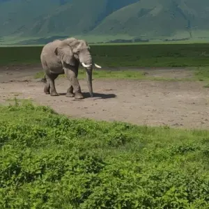 Explore Budgeted Safari for 5 days with Eatl Tour and Safari Group  and discover unforgettable experiences - Photo 6