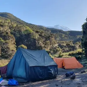 Explore 6-Day Climb Kilimanjaro (Marangu Route) for 6 days with Eatl Tour and Safari Group  and discover unforgettable experiences - Photo 5