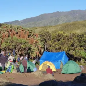 Explore 6-Day Climb Kilimanjaro (Marangu Route) for 6 days with Eatl Tour and Safari Group  and discover unforgettable experiences - Photo 6