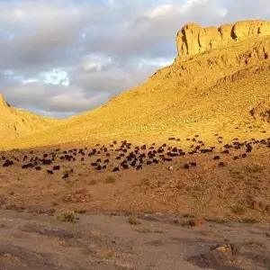 Explore Trek Jebel Saghro 8 Days for 8 days with Easygo Tours and discover unforgettable experiences - Photo 10