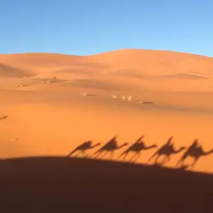 Explore Marrakech Sahara and Gorges 4 Days for 4 days with Easygo Tours and discover unforgettable experiences - Photo 10