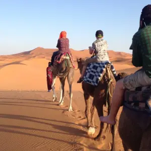 Explore Marrakech To Fes Via Sahara 3 Days for 3 days with Easygo Tours and discover unforgettable experiences - Photo 11