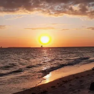 Explore Zanzibar Beach life for 7 days with Eatl Tour and Safari Group  and discover unforgettable experiences - Photo 3