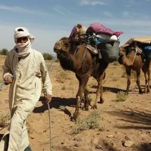 Explore Sahara Trek Morocco 8 Days for 8 days with Easygo Tours and discover unforgettable experiences - Photo 11