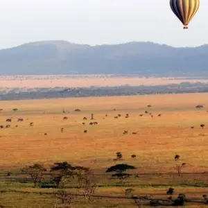 Explore Serengeti & Ngorongoro Crater – 3 Days & 2 Nights -Private Luxury for 3 days with Eatl Tour and Safari Group  and discover unforgettable experiences - Photo 2