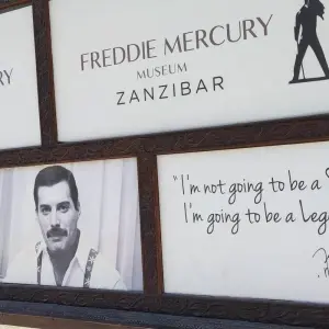 Explore Zanzibar Beach life for 7 days with Eatl Tour and Safari Group  and discover unforgettable experiences - Photo 4