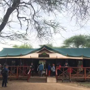 Explore 3-Day Tarangire, Ngorongoro  and Manyara Safari -Special Offer for 3 days with Eatl Tour and Safari Group  and discover unforgettable experiences - Photo 3