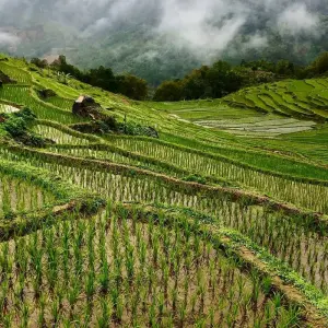 Explore Pu Luong 3 Days - Hieu waterfall - the Experience for 3 days with Eco Travel Go Green Vietnam and discover unforgettable experiences - Photo 3