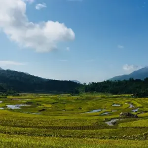 Explore Pu Luong Nature Reserve 2 days for 2 days with Eco Travel Go Green Vietnam and discover unforgettable experiences - Photo 4