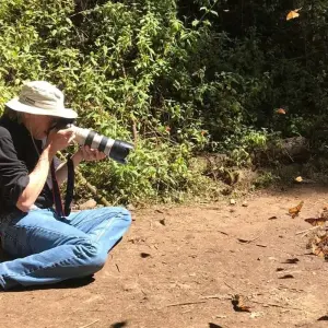 Explore Monarch Butterfly Tour in Mexico for 7 days with Eco Travel Mexico and discover unforgettable experiences - Photo 4