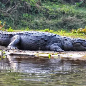 Explore Nepal Photography Tour for 8 days with Eco Holidays Nepal and discover unforgettable experiences - Photo 2