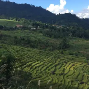 Explore Pu Luong Nature Reserve 2 days for 2 days with Eco Travel Go Green Vietnam and discover unforgettable experiences - Photo 5