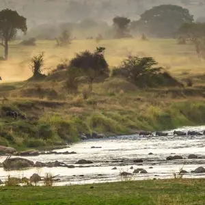 Explore Materuni Waterfalls, Serval wildlife, Arusha NP & Canoeing Safari for 3 days with Eatl Tour and Safari Group  and discover unforgettable experiences - Photo 7