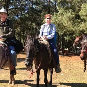 Explore Monarch Butterfly Tour in Mexico for 7 days with Eco Travel Mexico and discover unforgettable experiences - Photo 6