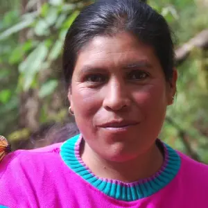 Explore Monarch Butterfly Tour in Mexico for 7 days with Eco Travel Mexico and discover unforgettable experiences - Photo 8