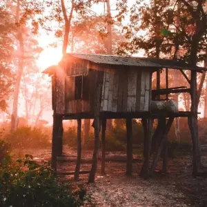 Explore Chitwan National Park - 3  Days for 3 days with Eco Holidays Nepal and discover unforgettable experiences - Photo 4