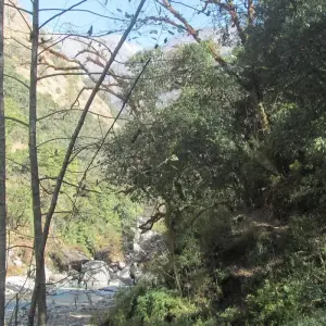 Explore Langtang Trek -11 Days for 11 days with Eco Holidays Nepal and discover unforgettable experiences - Photo 6