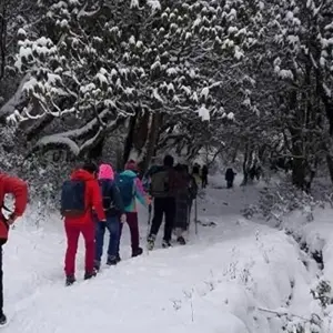 Explore Short Annapurna Base Camp Trekking- 7 Days for 7 days with Eco Holidays Nepal and discover unforgettable experiences - Photo 4
