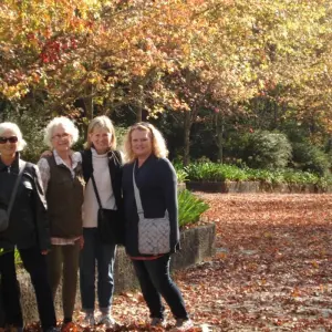 Explore Azores Tours for 4 days with EcoTrilha Portugal Tours and discover unforgettable experiences - Photo 2