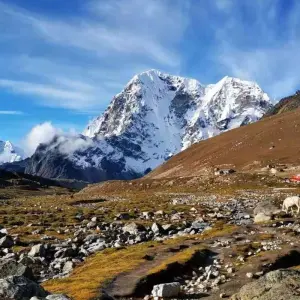 Explore Everest Three Passes Trek-19 Days for 19 days with Eco Holidays Nepal and discover unforgettable experiences - Photo 4