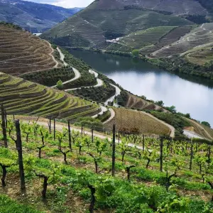 Explore 7-Day Small-Group Portugal Tours with Douro Valley for 7 days with EcoTrilha Portugal Tours and discover unforgettable experiences - Photo 2