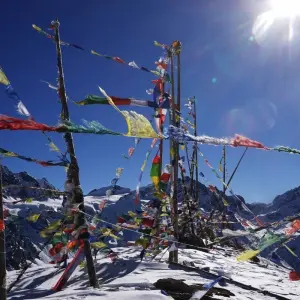 Explore Langtang Trek -11 Days for 11 days with Eco Holidays Nepal and discover unforgettable experiences - Photo 10