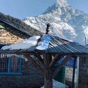 Explore Annapurna View Trek 9 Days for 9 days with Eco Holidays Nepal and discover unforgettable experiences - Photo 3