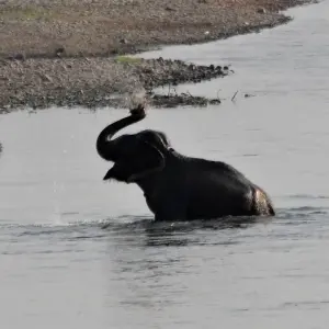 Explore Nepal Luxury View Tour- 9 Days for 9 days with Eco Holidays Nepal and discover unforgettable experiences - Photo 8
