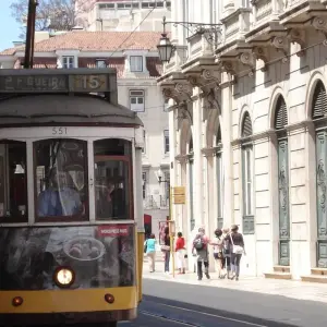 Explore 7-Day Small-Group Portugal Tours with Douro Valley for 7 days with EcoTrilha Portugal Tours and discover unforgettable experiences - Photo 7