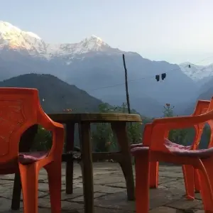 Explore Annapurna Base Camp Trek Via Poon Hill 2023/2024/2025 for 11 days with Eco Holidays Nepal and discover unforgettable experiences - Photo 4