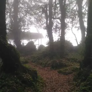 Explore Mardi Himal Short Trek 5 Days 2023/2024/2025 for 5 days with Eco Holidays Nepal and discover unforgettable experiences - Photo 4