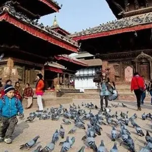 Explore Kathmandu City Tour. for 1 days with Eco Holidays Nepal and discover unforgettable experiences - Photo 6