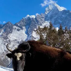 Explore Everest Base Camp sharing Helicopter Tour for 1 days with Eco Holidays Nepal and discover unforgettable experiences - Photo 2