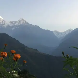 Explore Ghorepani Poon Hill Trek 5 Days 22023/2024 for 5 days with Eco Holidays Nepal and discover unforgettable experiences - Photo 5