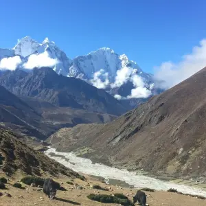 Explore Everest Base Camp Trek with Helicopter Return 2024/2025/2026 for 10 days with Eco Holidays Nepal and discover unforgettable experiences - Photo 5