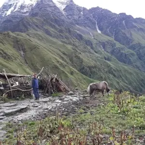 Explore Mardi Himal Short Trek 5 Days 2023/2024/2025 for 5 days with Eco Holidays Nepal and discover unforgettable experiences - Photo 7