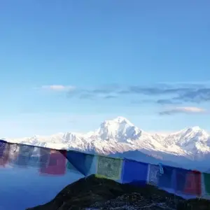 Explore Annapurna View Trek 9 Days for 9 days with Eco Holidays Nepal and discover unforgettable experiences - Photo 11