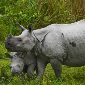 Explore Family Holiday to Nepal 2023/2024/2025 for 9 days with Eco Holidays Nepal and discover unforgettable experiences - Photo 8