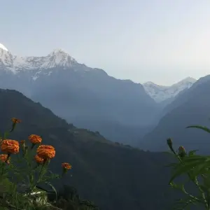 Explore Poon Hill 2 Days Trek 2024/2025 for 2 days with Eco Holidays Nepal and discover unforgettable experiences - Photo 3