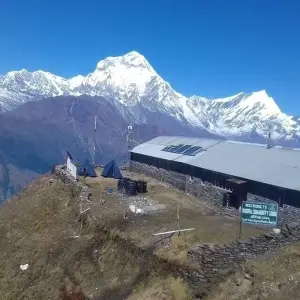 Explore Ghorepani Poon Hill Trek 5 Days 22023/2024 for 5 days with Eco Holidays Nepal and discover unforgettable experiences - Photo 8