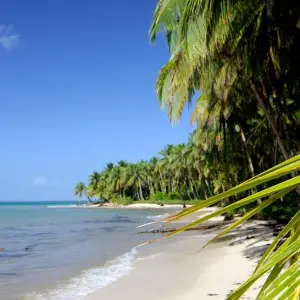 Explore Panama Highlights: City, Highlands, and Island Escapes for 10 days with EcoCircuitos Panama and discover unforgettable experiences - Photo 2