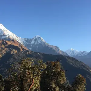 Explore Poon Hill 2 Days Trek 2024/2025 for 2 days with Eco Holidays Nepal and discover unforgettable experiences - Photo 5