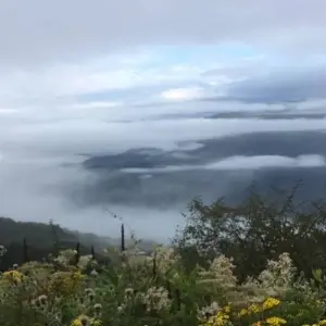 Explore Ghorepani Poon Hill Trek 5 Days 22023/2024 for 5 days with Eco Holidays Nepal and discover unforgettable experiences - Photo 9