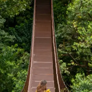 Explore Panama Highlights: City, Highlands, and Island Escapes for 10 days with EcoCircuitos Panama and discover unforgettable experiences - Photo 4