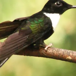 Explore Ecuador 5D/4N for 5 days with Ecuador Wonders and discover unforgettable experiences - Photo 2