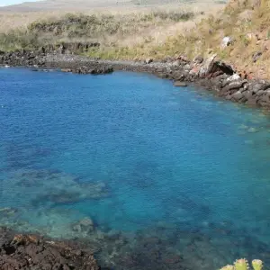 Explore Discovering the Enchanting Galapagos Islands for 4 days with Ecuador Wonders and discover unforgettable experiences - Photo 3