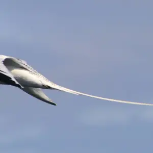 Explore Explore the wonders of Galapagos in this 5-day tour for 5 days with Ecuador Wonders and discover unforgettable experiences - Photo 4